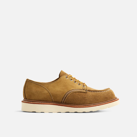 Engineered Garments x Shop Moc Oxford 3113 - Camel Remix